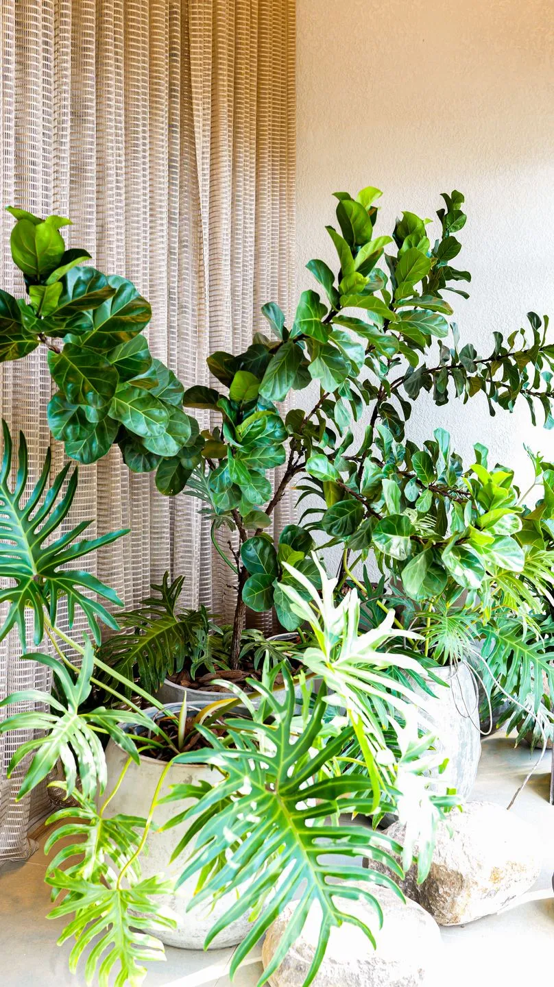 Apartamento para venda no bairro Sanvitto em Caxias do Sul