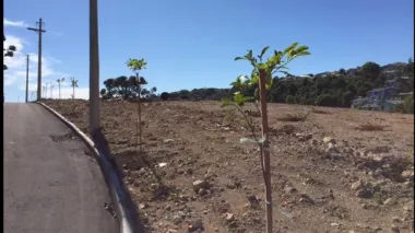 Lote para venda no bairro Santa Marta em Bento Gonçalves Lote para venda no bairro Santa Marta em Bento Gonçalves