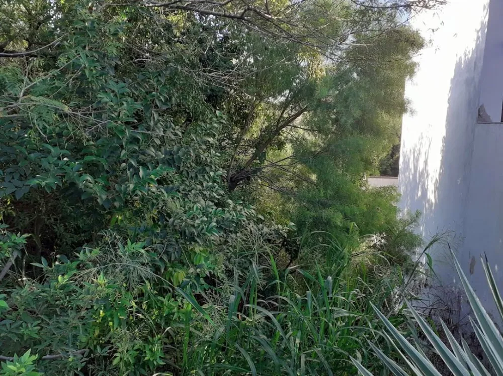 Terreno/Lote Residencial para venda no bairro Ipanema em Porto Alegre