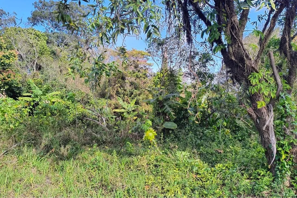 Terreno/Lote Residencial para venda no bairro Eldorado do Sul em Eldorado do Sul