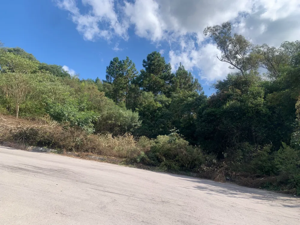 Lote para venda no bairro Bairro Fátima em Bento Gonçalves
