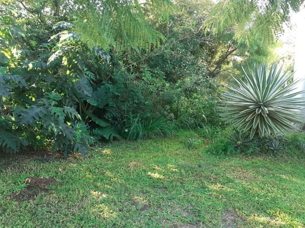 Terreno/Lote Residencial para venda no bairro Ipanema em Porto Alegre