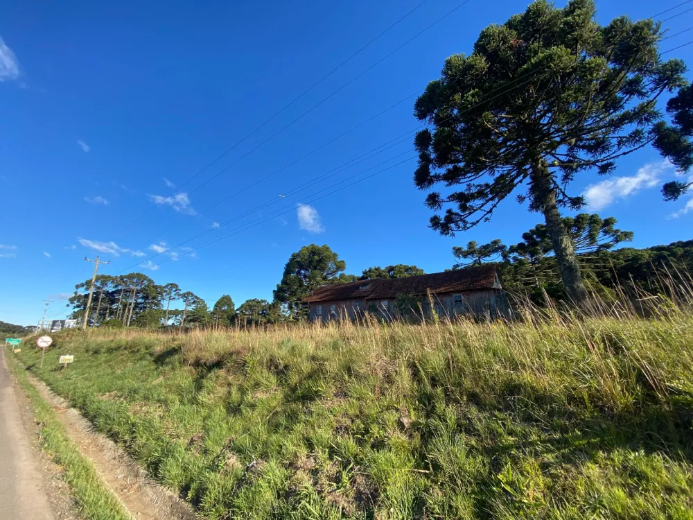 Terreno Padrão para venda no bairro  em São Francisco de Paula