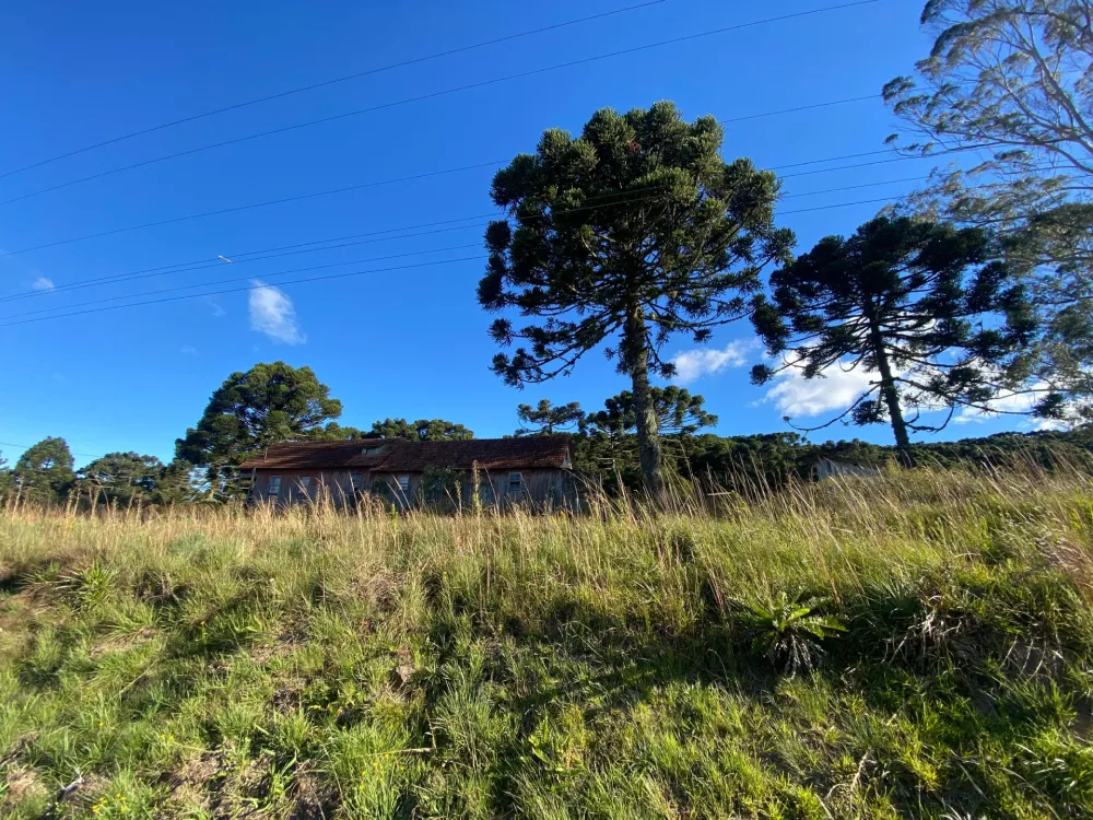 Terreno Padrão para venda no bairro  em São Francisco de Paula