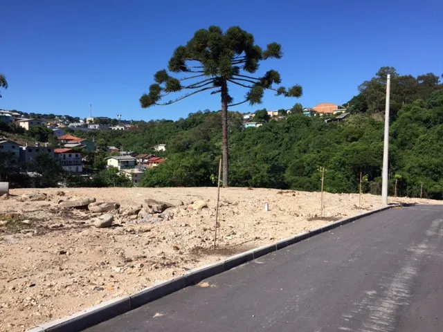 Lote para venda no bairro Santa Marta em Bento Gonçalves