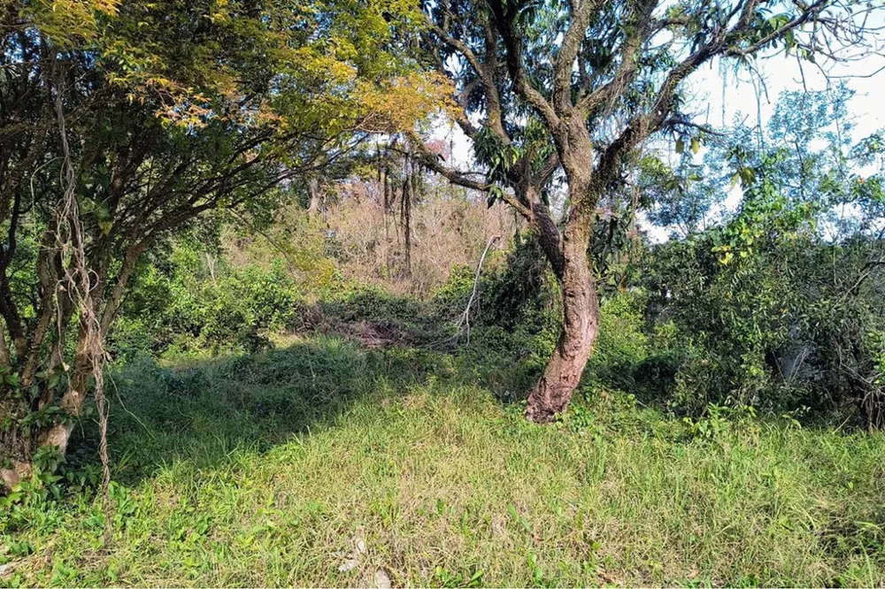 Terreno/Lote Residencial para venda no bairro Eldorado do Sul em Eldorado do Sul