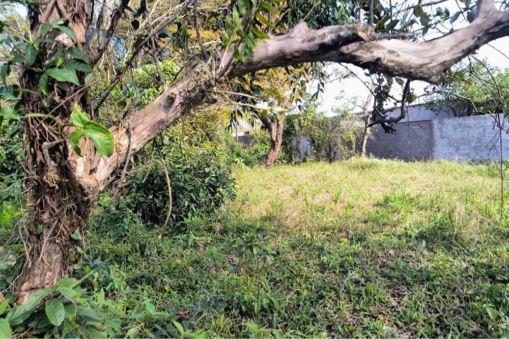Terreno/Lote Residencial para venda no bairro Eldorado do Sul em Eldorado do Sul