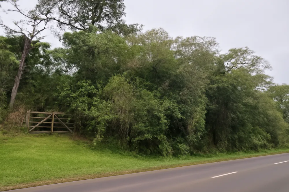 Terreno/Lote Residencial para venda no bairro Hípica em Porto Alegre