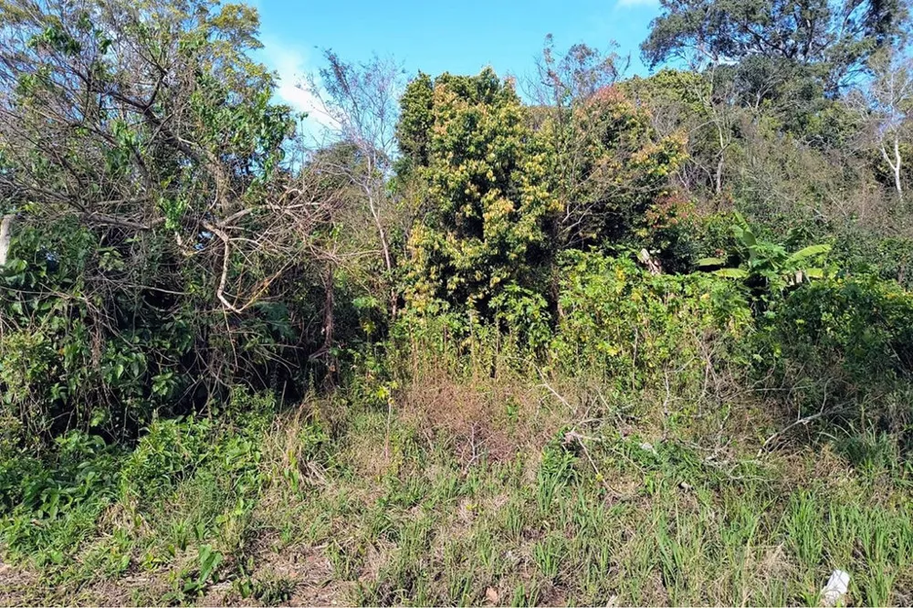 Terreno/Lote Residencial para venda no bairro Eldorado do Sul em Eldorado do Sul