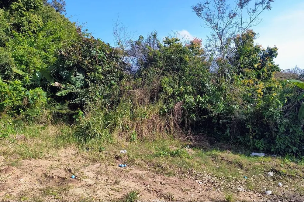Terreno/Lote Residencial para venda no bairro Eldorado do Sul em Eldorado do Sul