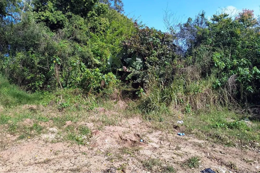 Terreno/Lote Residencial para venda no bairro Eldorado do Sul em Eldorado do Sul