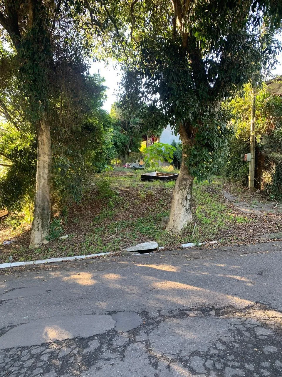Terreno para venda no bairro Primavera em Novo Hamburgo
