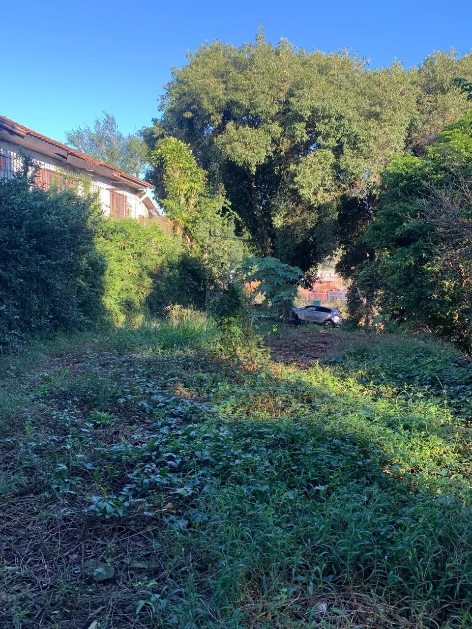 Terreno para venda no bairro Primavera em Novo Hamburgo