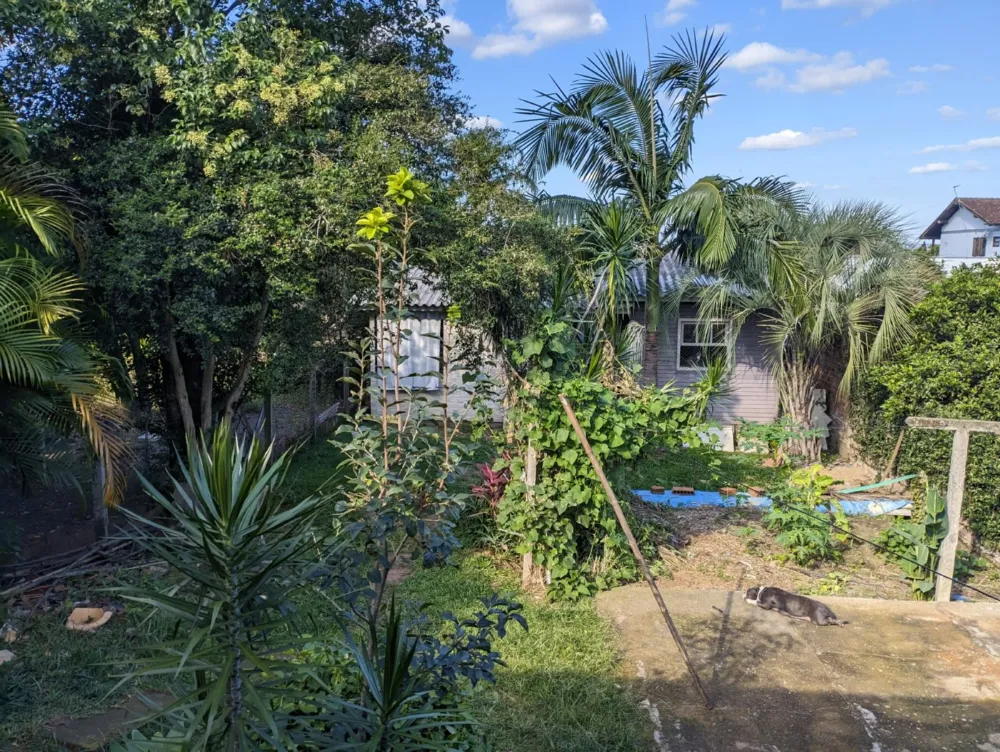 Casa 2 quartos para Venda no bairro Canudos em Novo Hamburgo