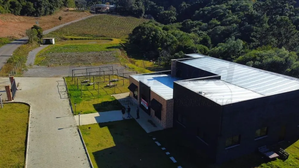 Chácara de 70.350,51 m² para venda em Flores da Cunha