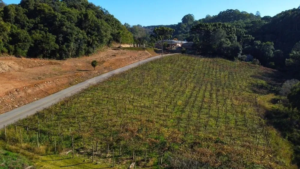 Chácara de 70.350,51 m² para venda em Flores da Cunha