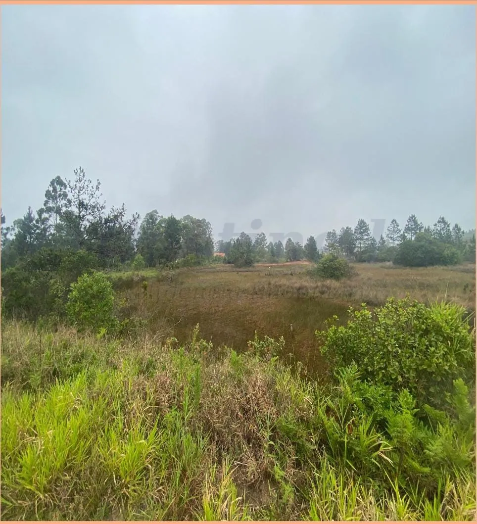 Terreno para Venda no bairro Balneário Tupinambá em Torres