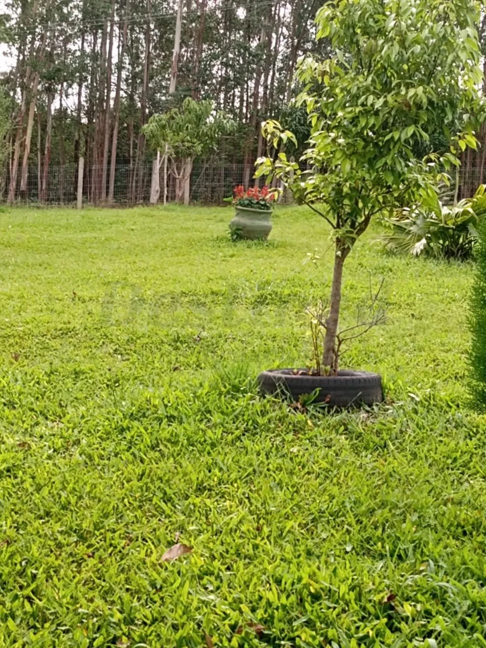 Sítio / Chácara 2 quartos para Venda no bairro Centenário em Sapiranga