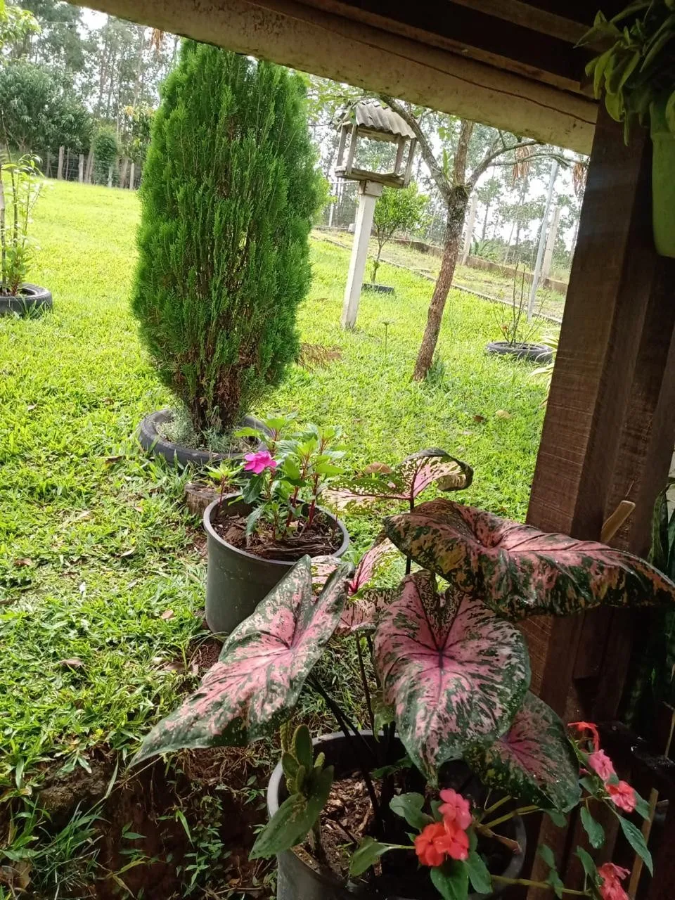Sítio / Chácara 2 quartos para Venda no bairro Centenário em Sapiranga