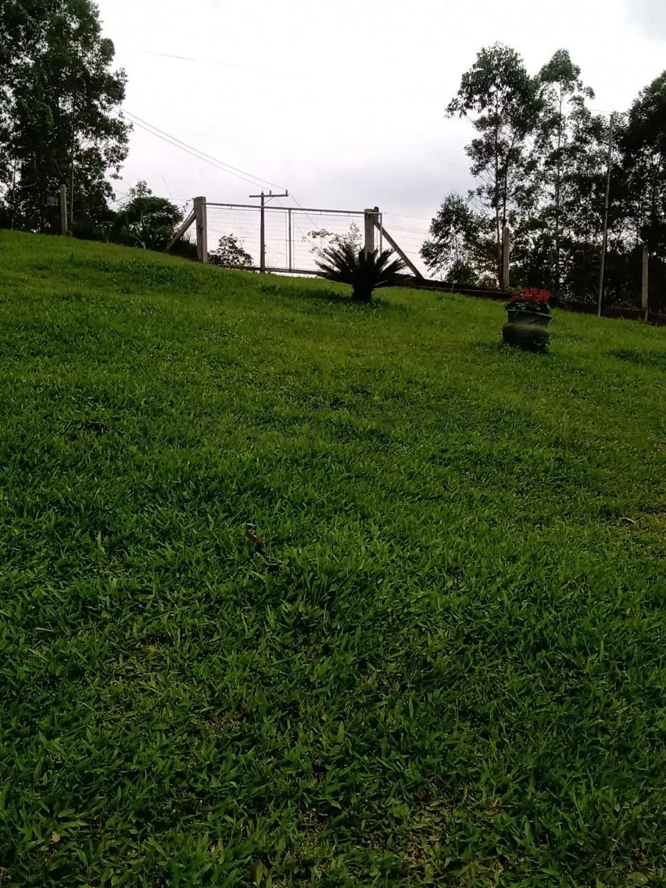 Sítio / Chácara 2 quartos para Venda no bairro Centenário em Sapiranga