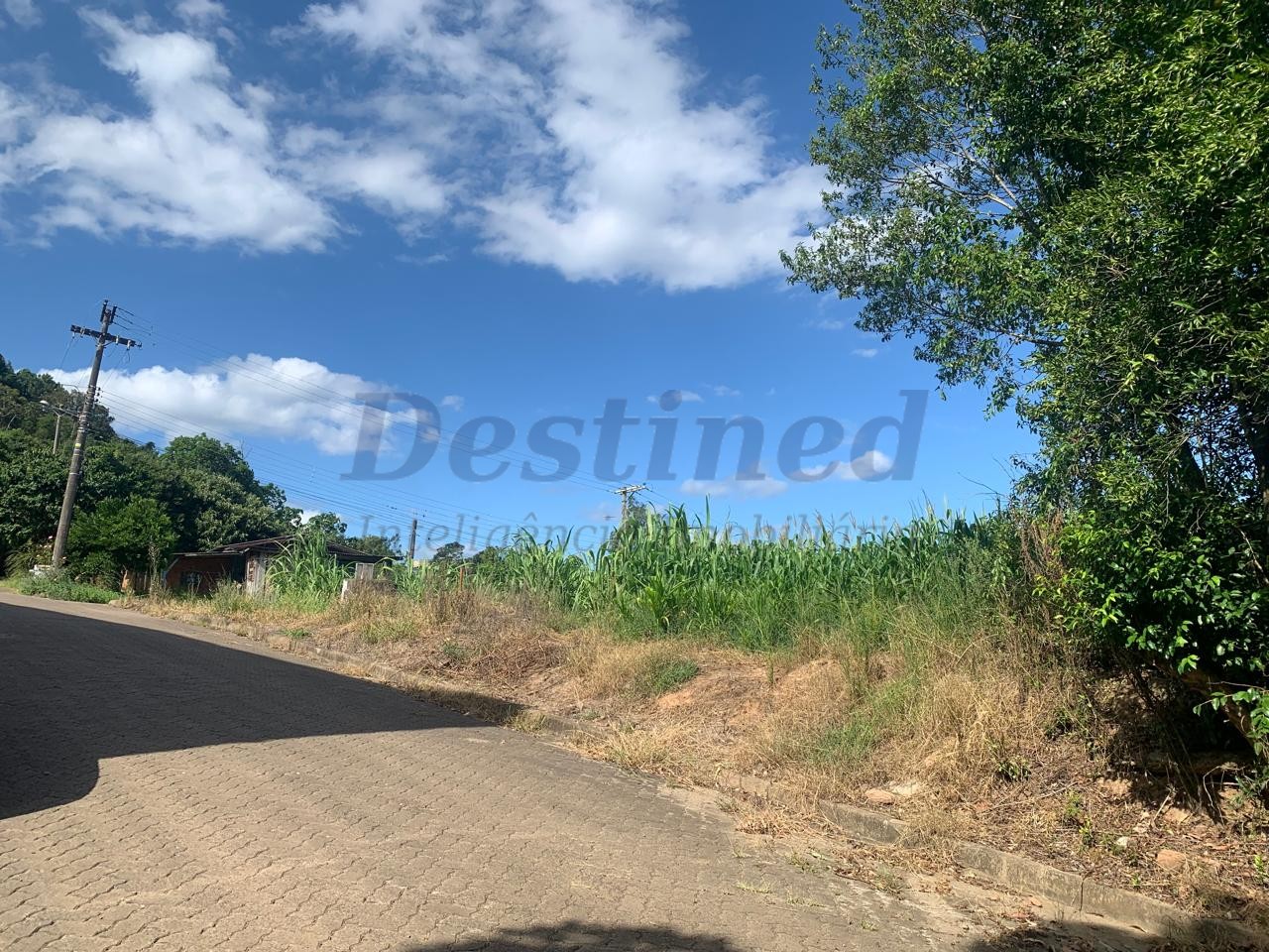 Terreno para Venda no bairro Centro em Rolante