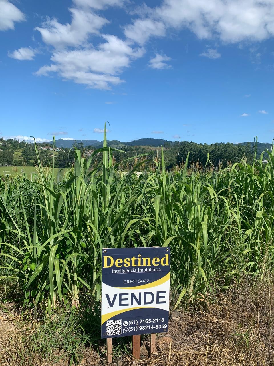 Terreno para Venda no bairro Centro em Rolante