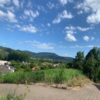 Terreno para Venda no bairro Centro em Rolante