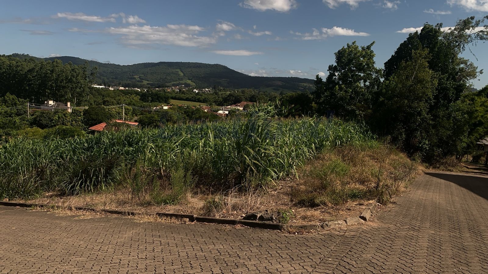 Terreno para Venda no bairro Centro em Rolante