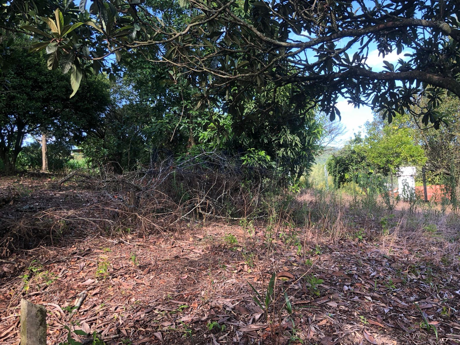 Terreno para Venda no bairro Centro em Rolante