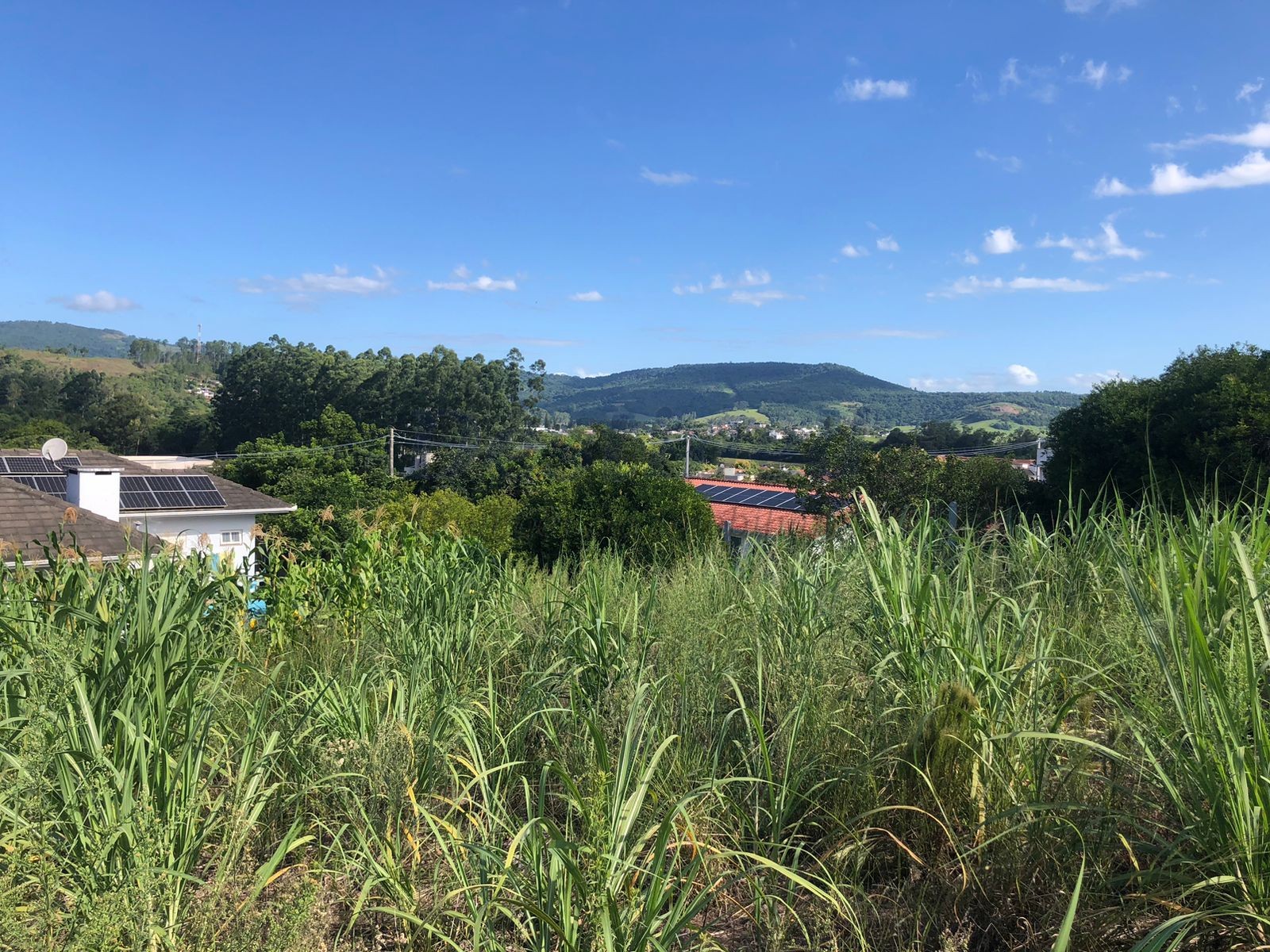 Terreno para Venda no bairro Centro em Rolante
