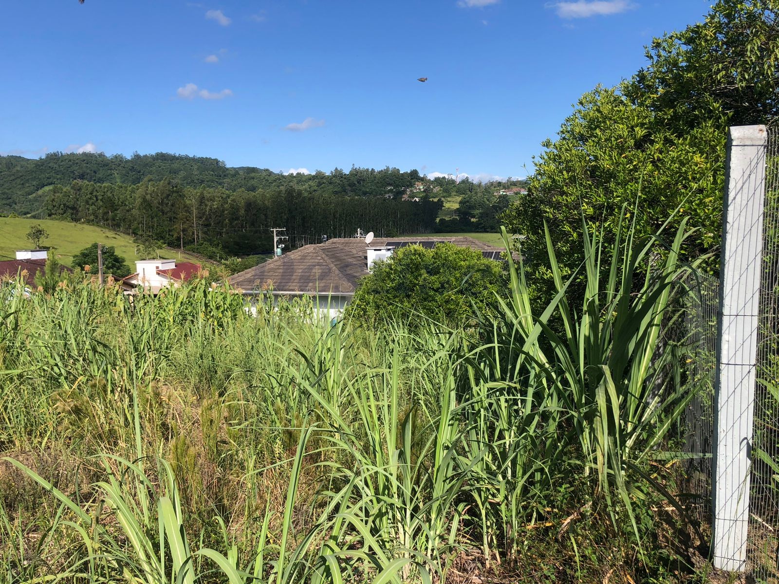 Terreno para Venda no bairro Centro em Rolante