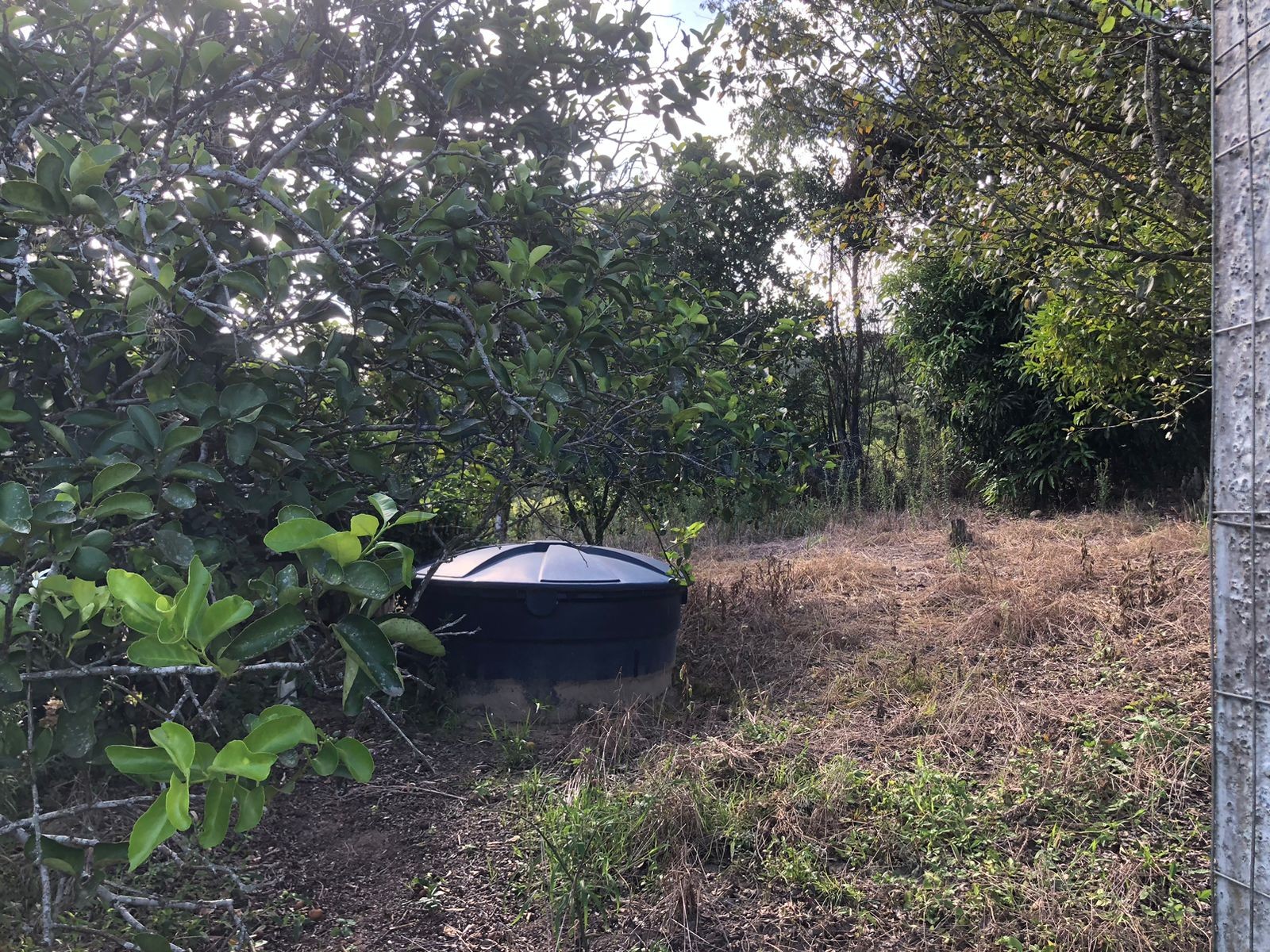 Terreno para Venda no bairro Centro em Rolante