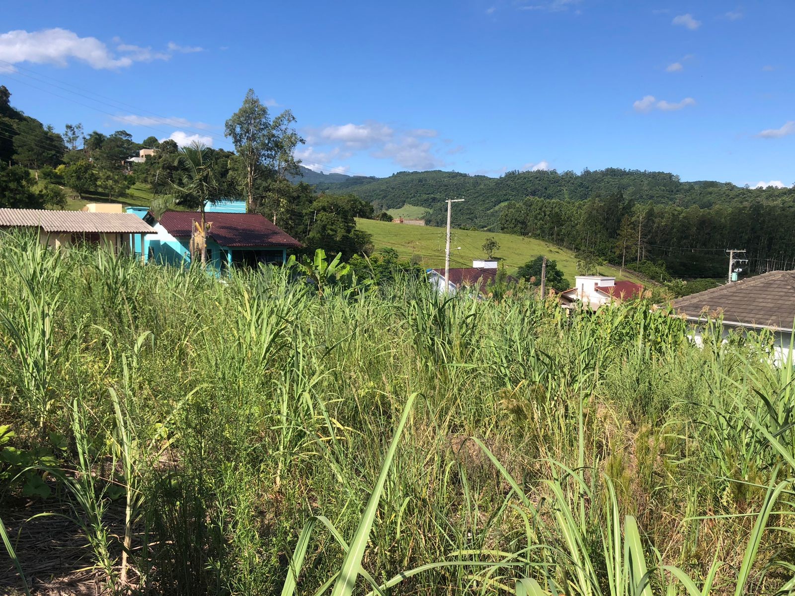 Terreno para Venda no bairro Centro em Rolante