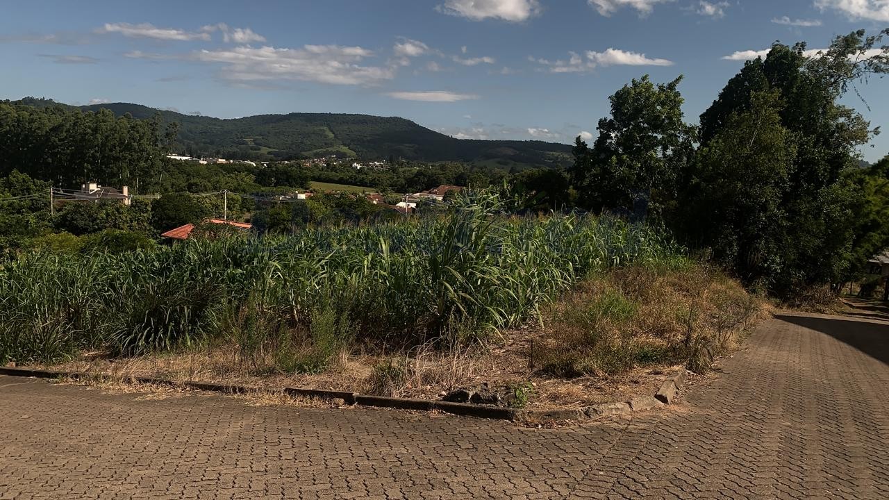 Terreno para Venda no bairro Centro em Rolante