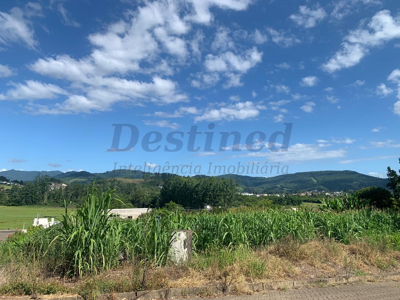 Terreno para Venda no bairro Centro em Rolante
