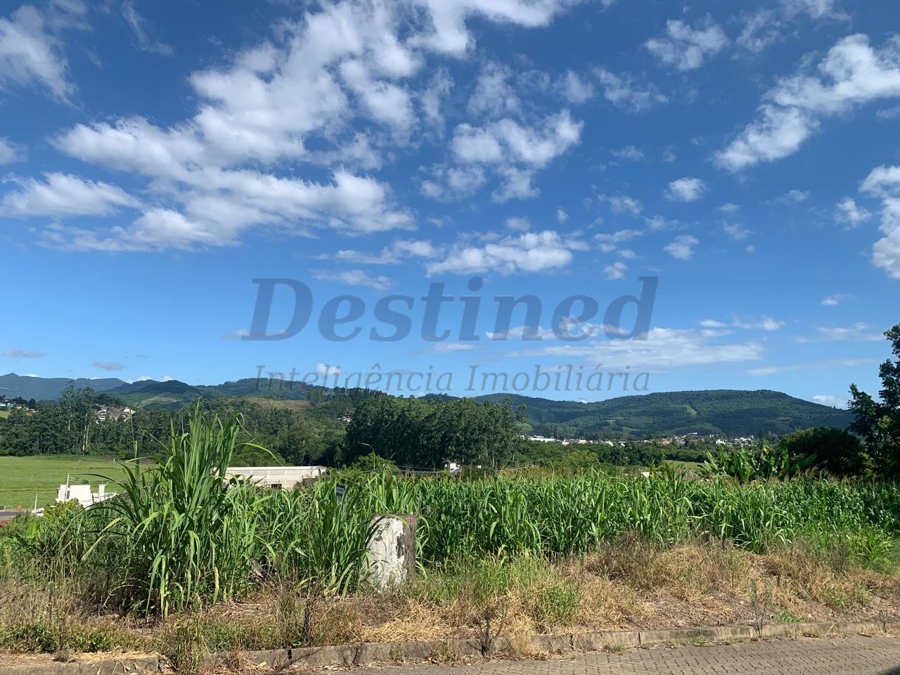 Terreno para Venda no bairro Centro em Rolante