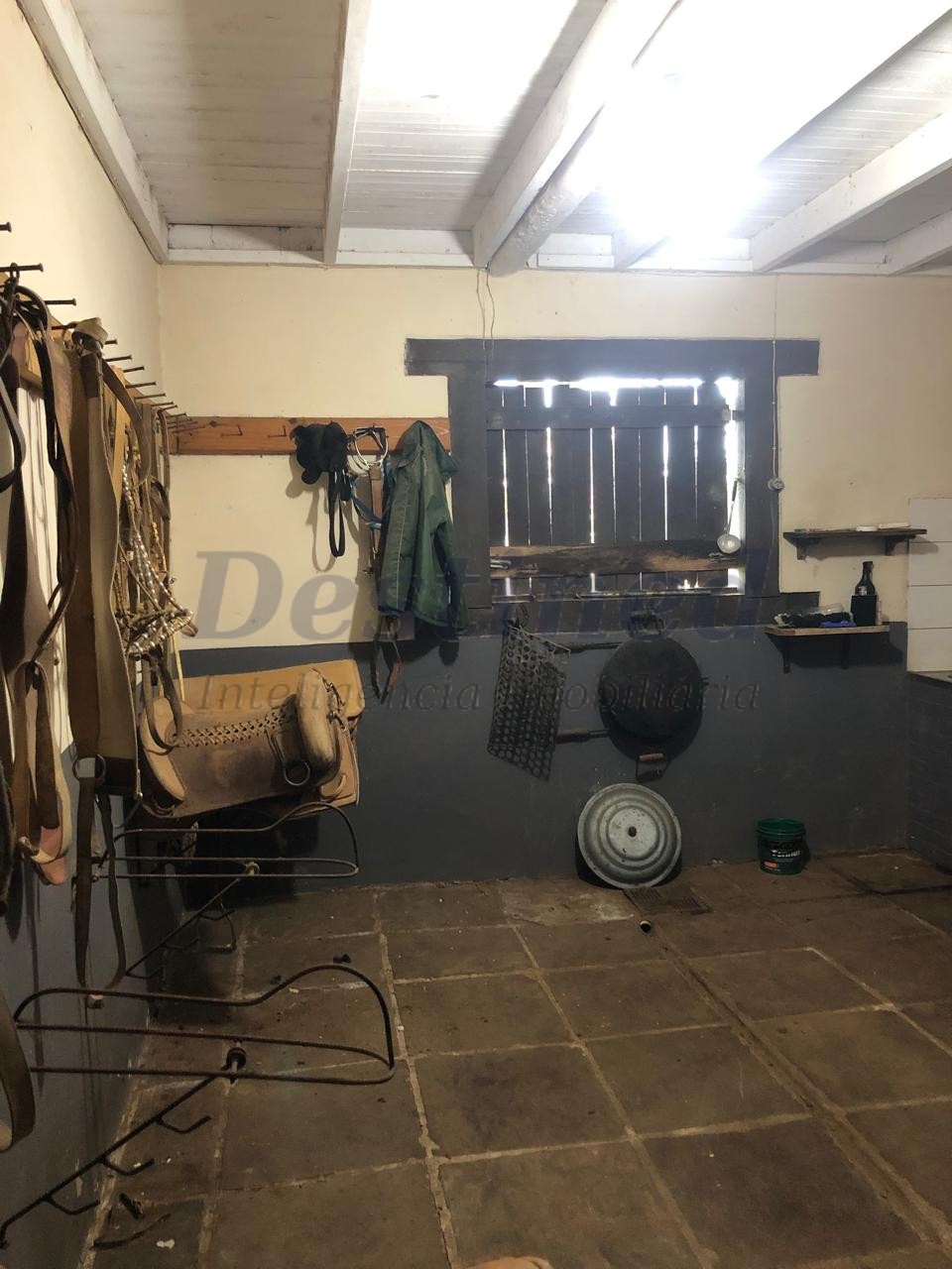 Sítio / Chácara 3 quartos para Venda no bairro Lomba Grande em Novo Hamburgo