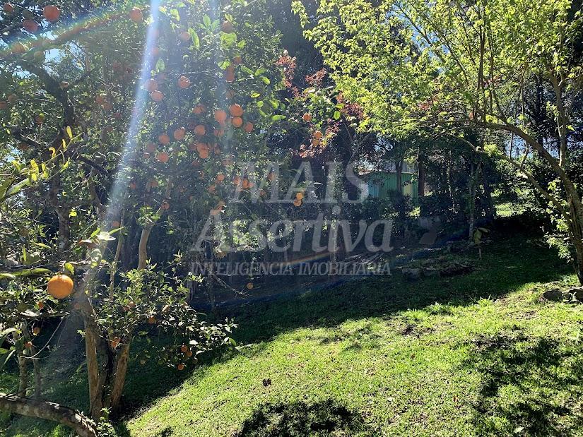 Sítio / Chácara 5 quartos para Venda no bairro Sao Francisco em São Francisco de Paula