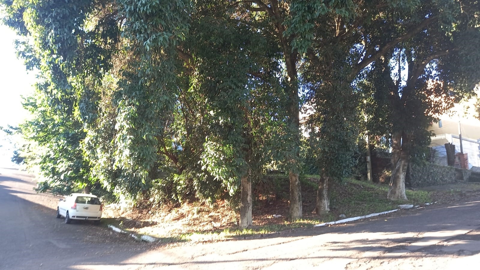 Terreno para venda no bairro Primavera em Novo Hamburgo