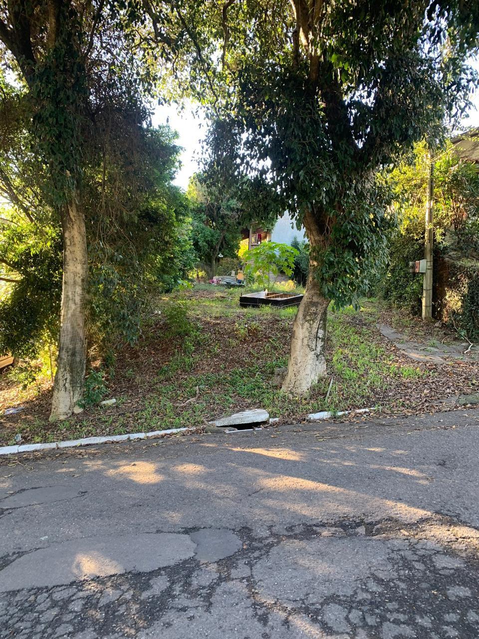 Terreno para venda no bairro Primavera em Novo Hamburgo