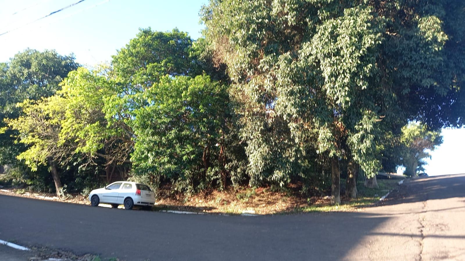 Terreno para venda no bairro Primavera em Novo Hamburgo