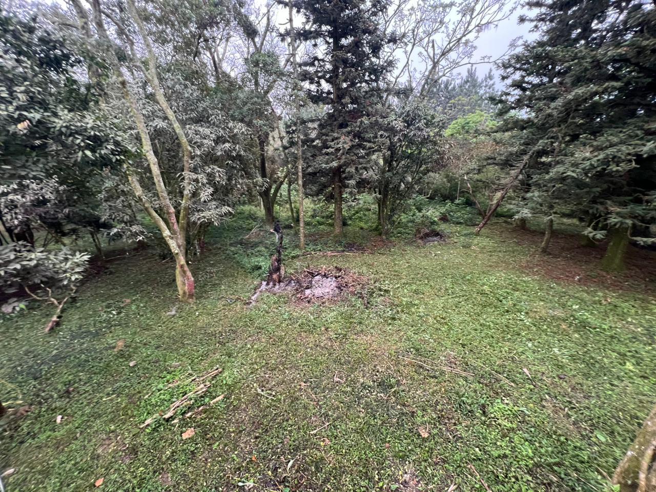 Sítio 2 "ha" para venda Fazenda Fialho em Taquara