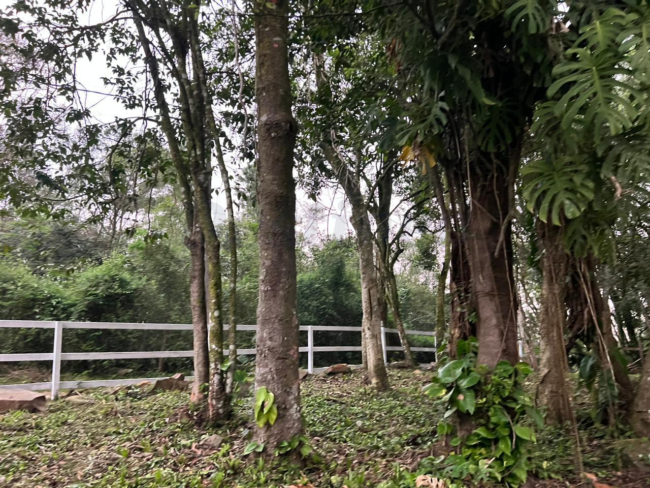 Sítio 2 "ha" para venda Fazenda Fialho em Taquara