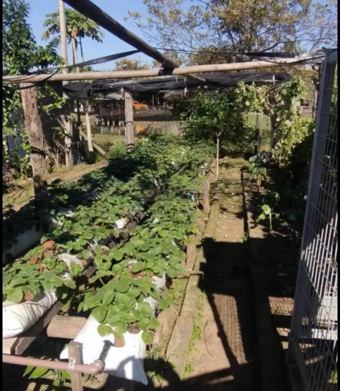 Chácara em Araricá com  5.000 m² de pura tranquilidade e lazer! 