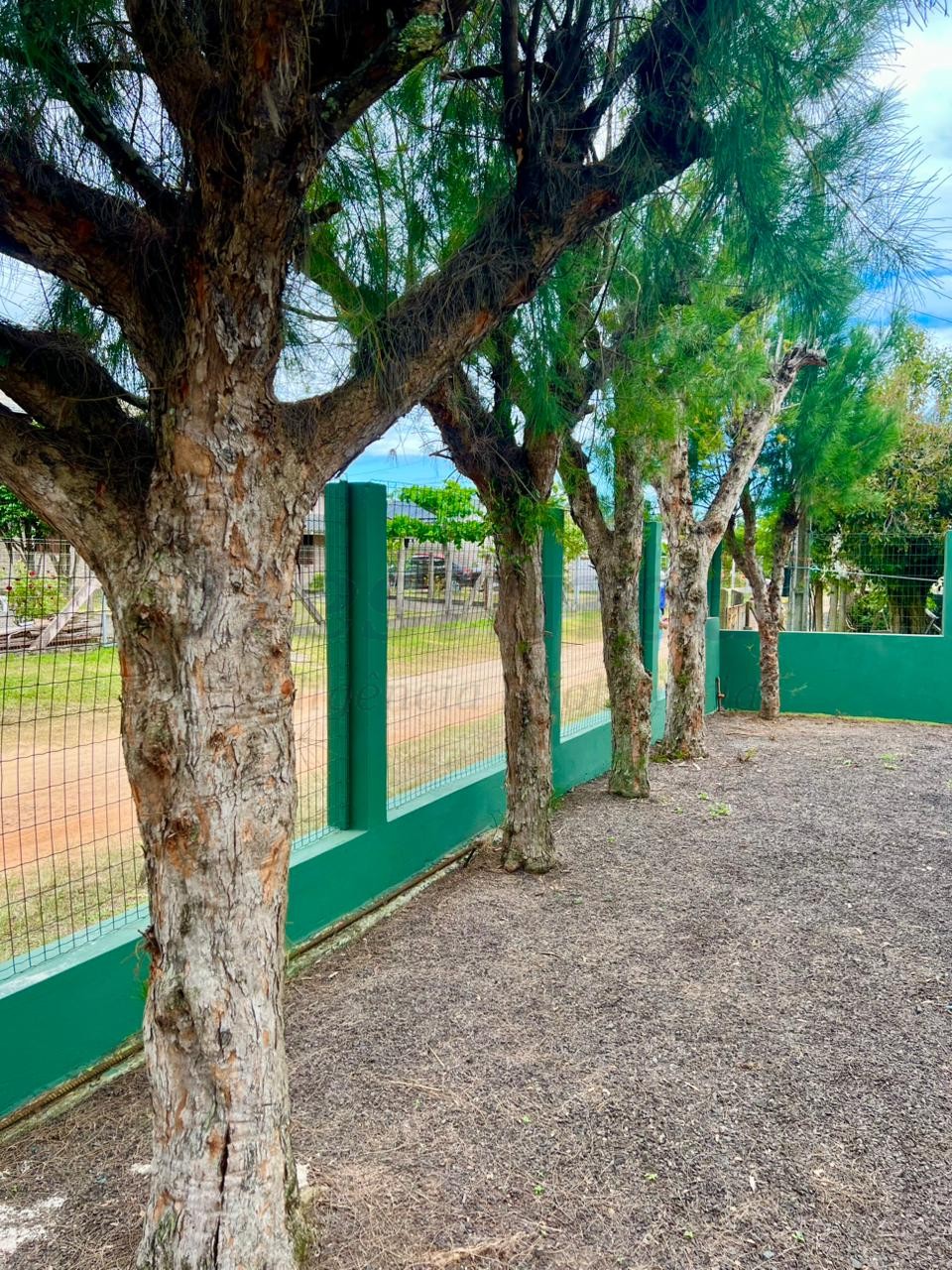 Casa 5 quartos para Venda no bairro praia ribeiro  em Passo de Torres