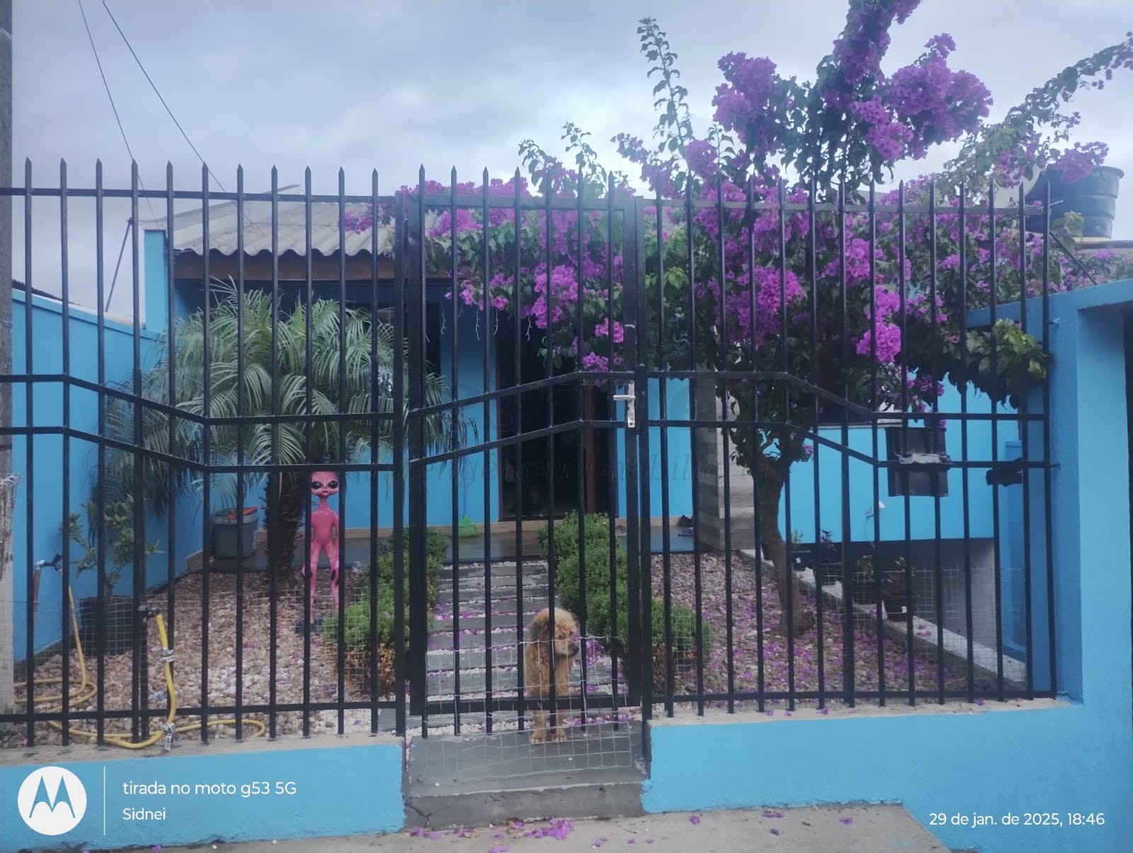 Casa 2 quartos para Venda no bairro Boa Saúde em Novo Hamburgo