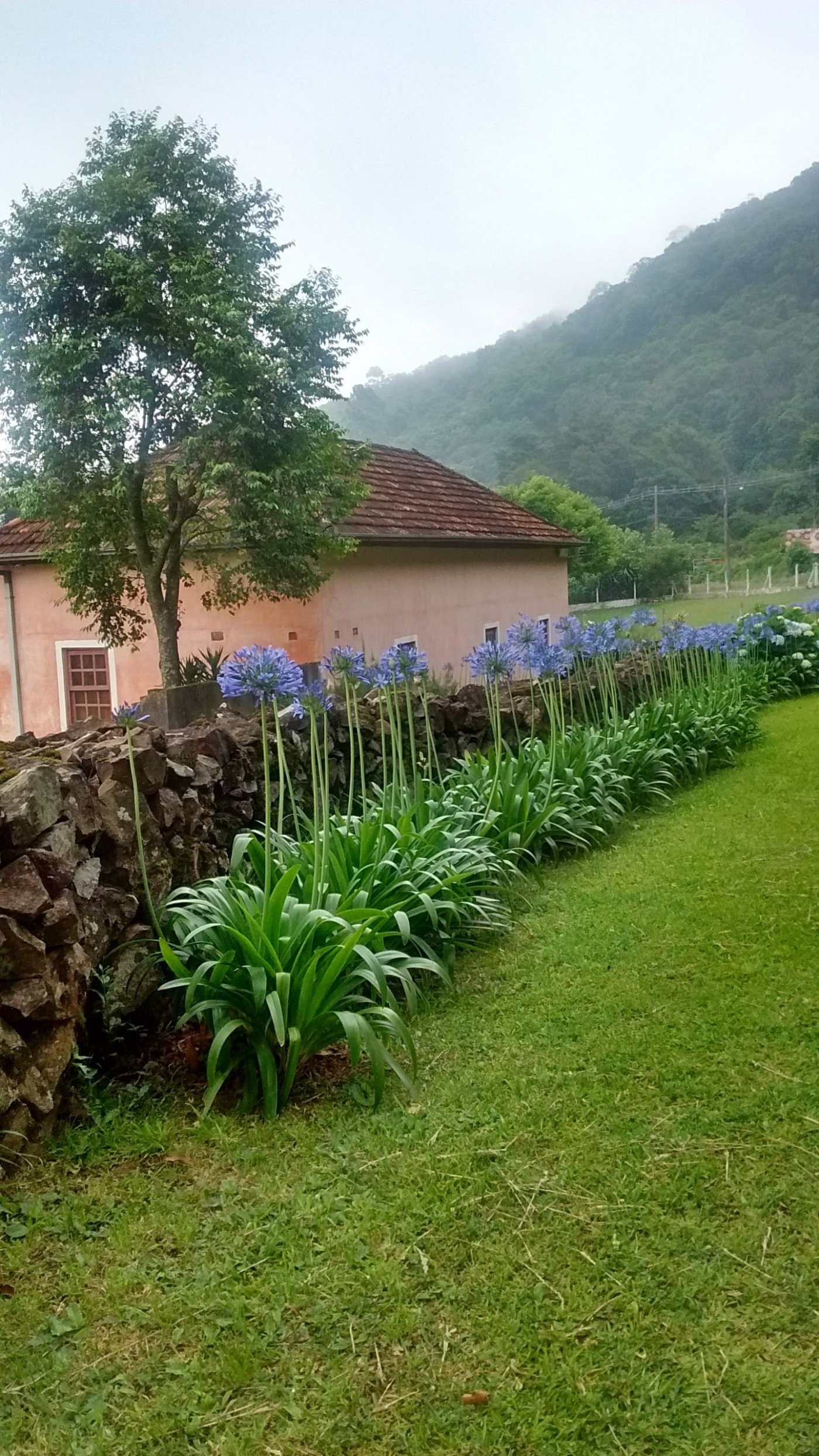 Casa 4 quartos para Venda no bairro Paradouro em Morro Reuter