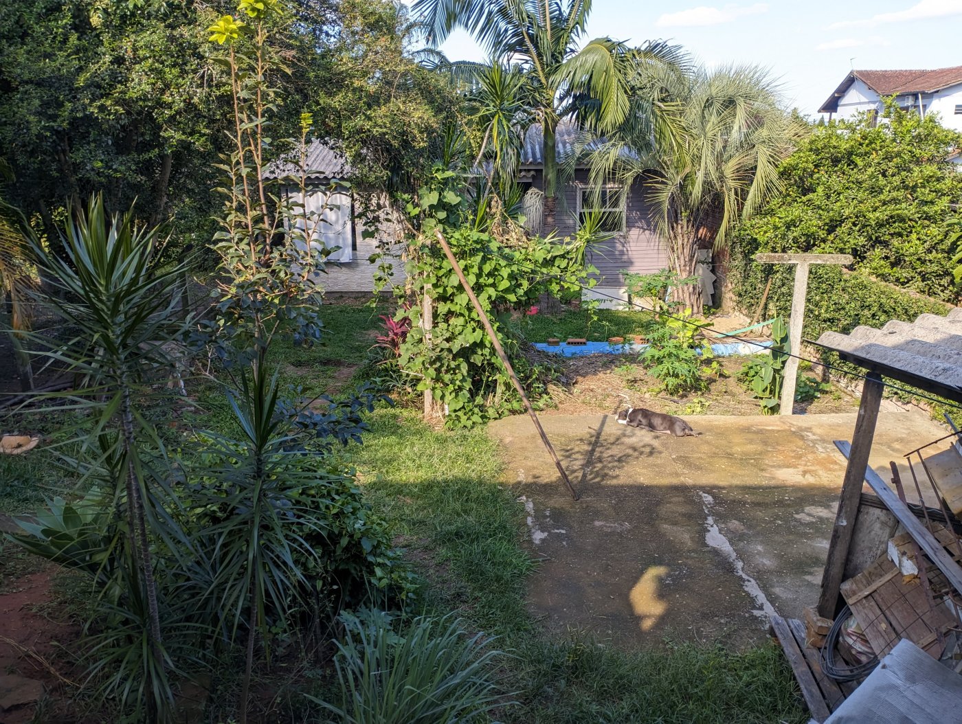 Casa 2 quartos para Venda no bairro Canudos em Novo Hamburgo