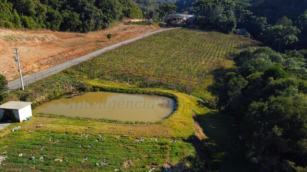Chácara de 70.350,51 m² para venda em Flores da Cunha