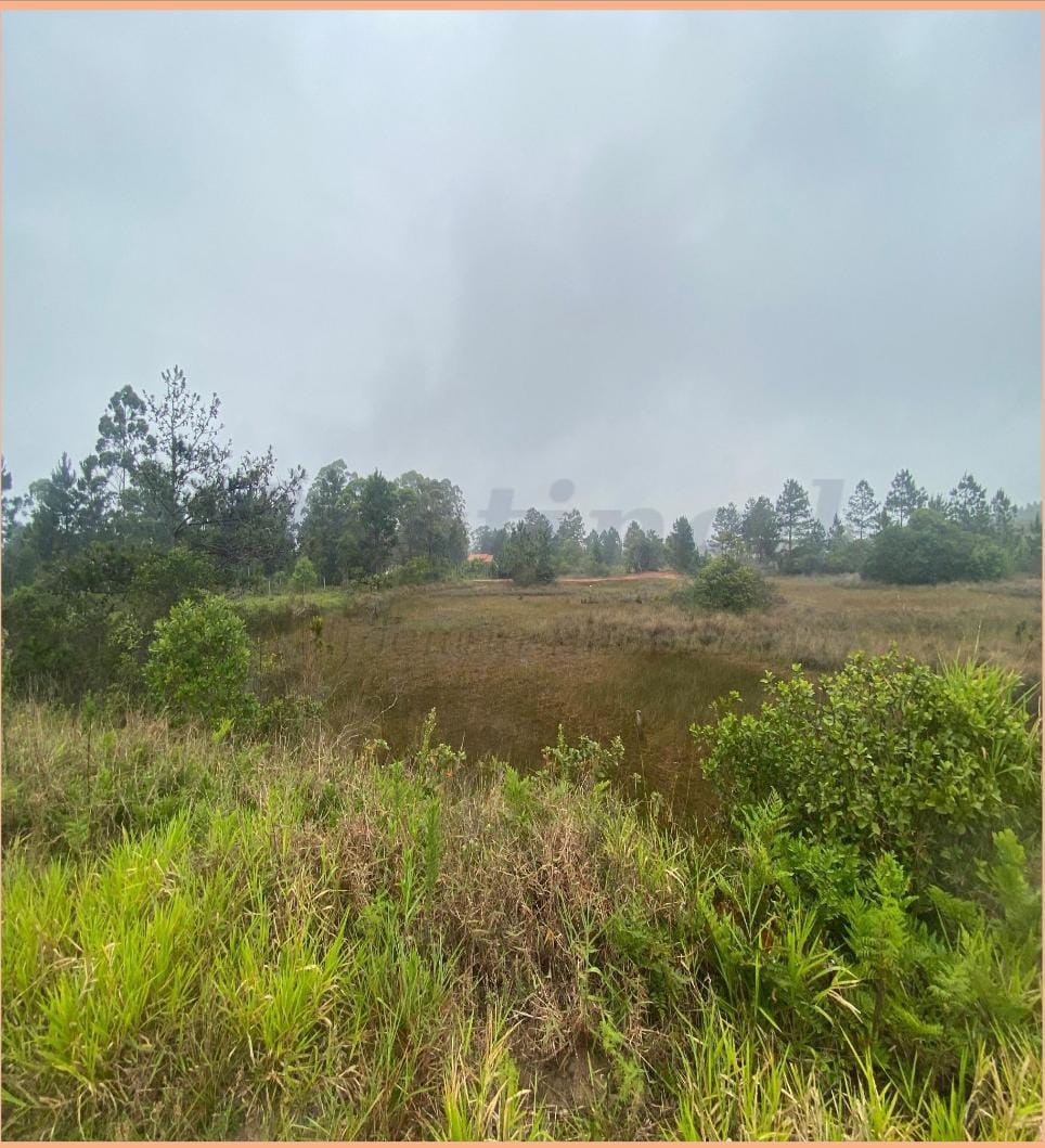Terreno para Venda no bairro Balneário Tupinambá em Torres